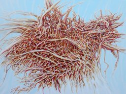 Celestial Roots IV 90x120 cm